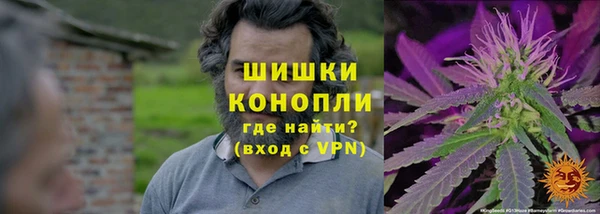 ГАЛЛЮЦИНОГЕННЫЕ ГРИБЫ Слюдянка