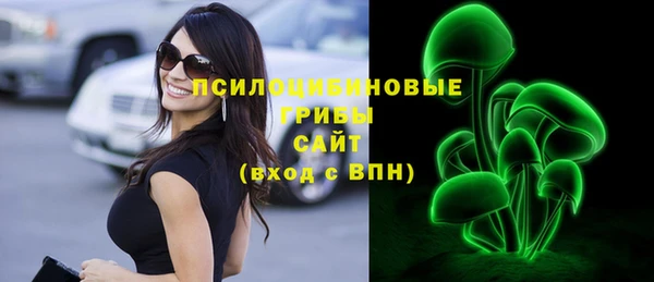 дурь Верея