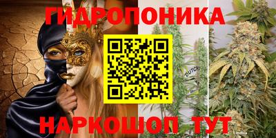 a pvp Тара
