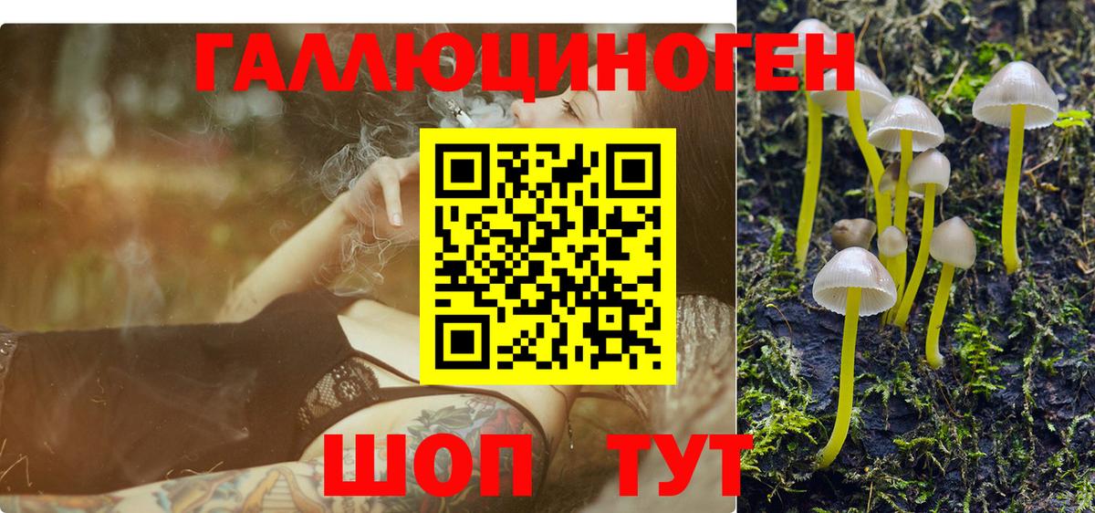 Галлюциногенные грибы ЛСД  Галлюциногенные грибы ЛСД  Вход с VPN  Северобайкальск 