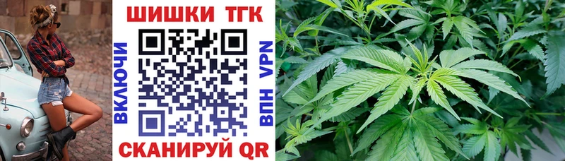 Марихуана THC 21%  darknet какой сайт  Северобайкальск  купить  сайты 